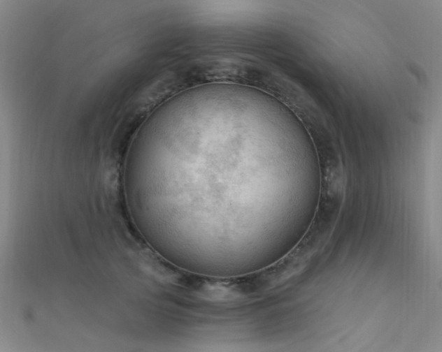 X0000112350753200908131428