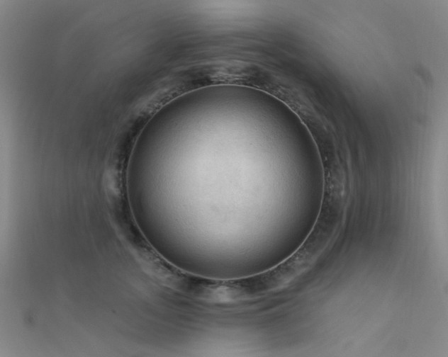 X0000112350755200908131428
