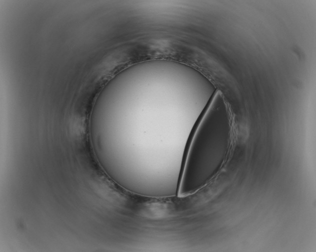 X0000112350756200908131428