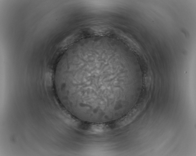 X0000112350757200908131428