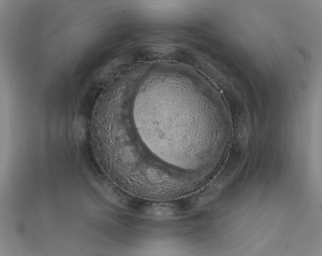 X0000112350758200908131428