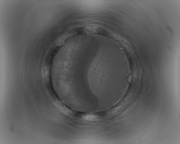 X0000112350759200908131428