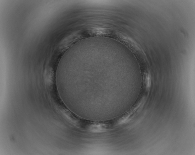 X0000112350760200908131428