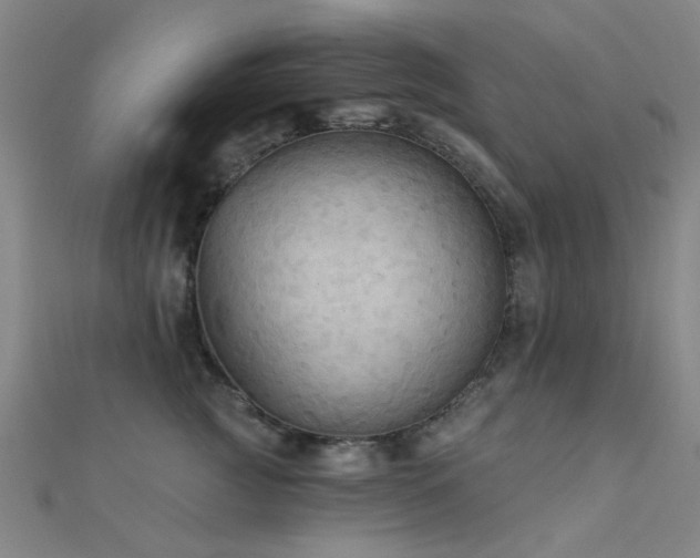 X0000112350761200908131428