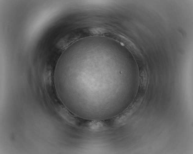 X0000112350762200908131428