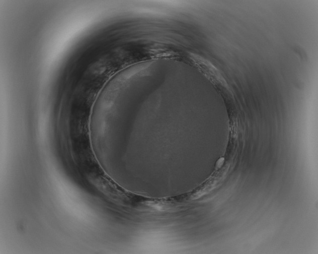 X0000112350763200908131428