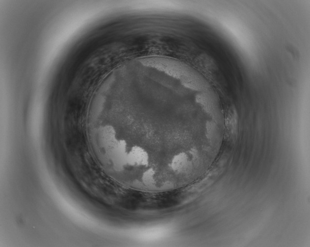 X0000112350765200908131428