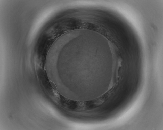X0000112350766200908131428