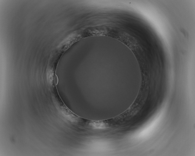 X0000112350767200908131428