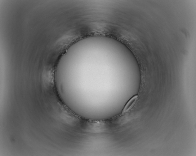 X0000112350768200908131428