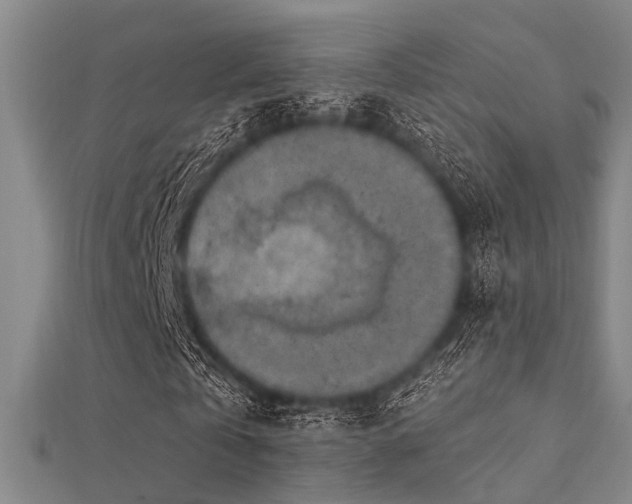 X0000112350769200908131428