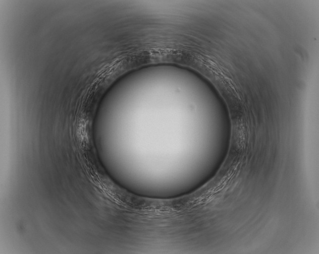 X0000112350770200908131428