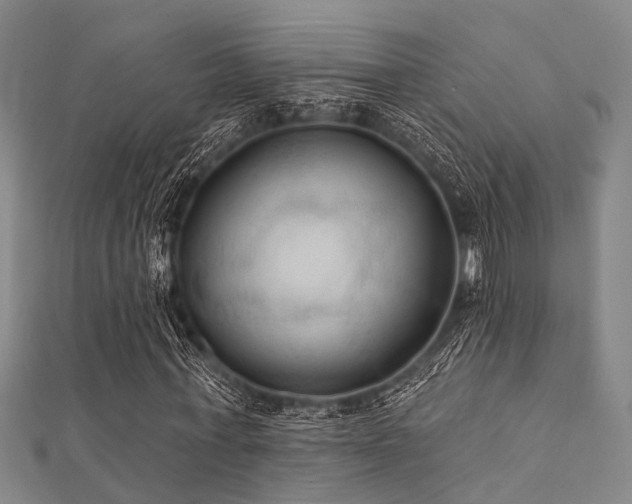 X0000112350771200908131428