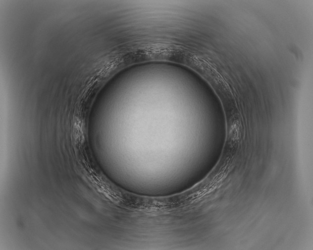 X0000112350772200908131428
