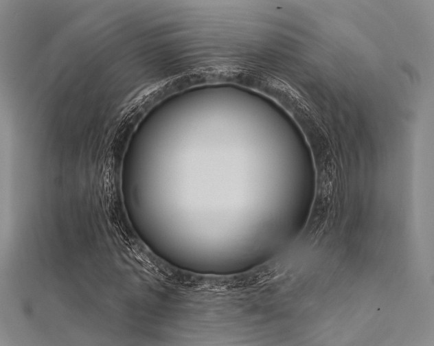 X0000112350773200908131428