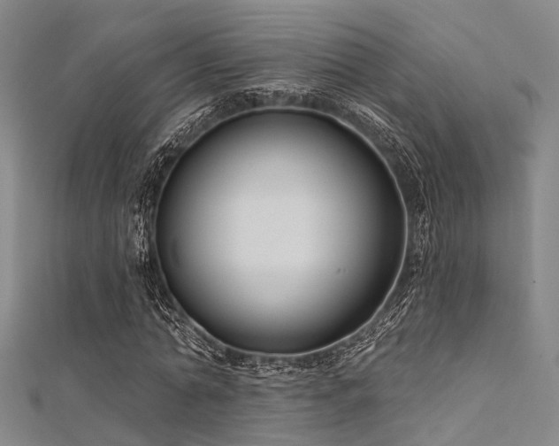 X0000112350774200908131427