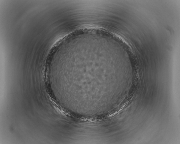 X0000112350775200908131427