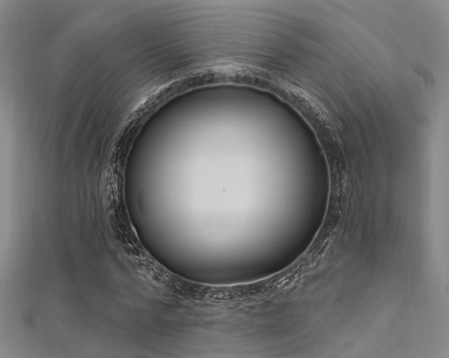 X0000112350776200908131427