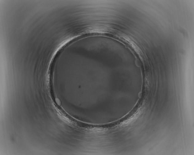 X0000112350779200908131427