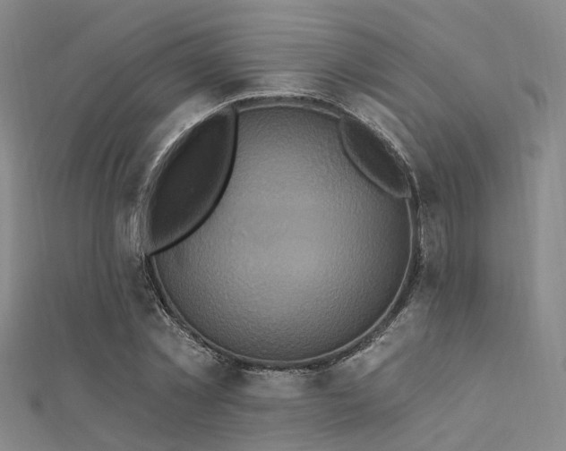 X0000112350781200908131427