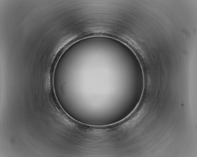 X0000112350782200908131427