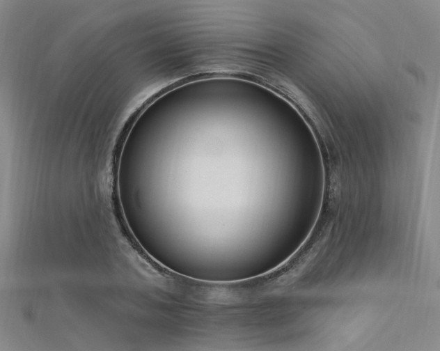 X0000112350787200908131427