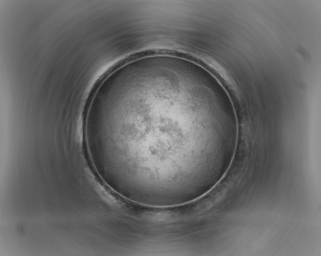 X0000112350791200908131427