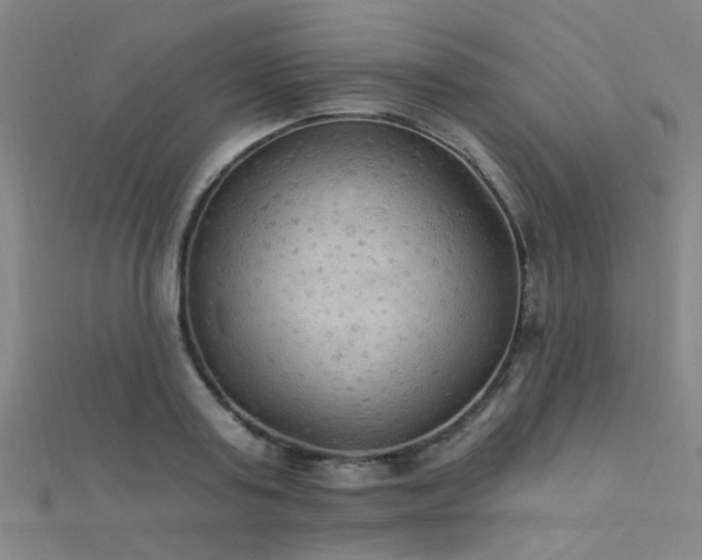 X0000112350795200908131427