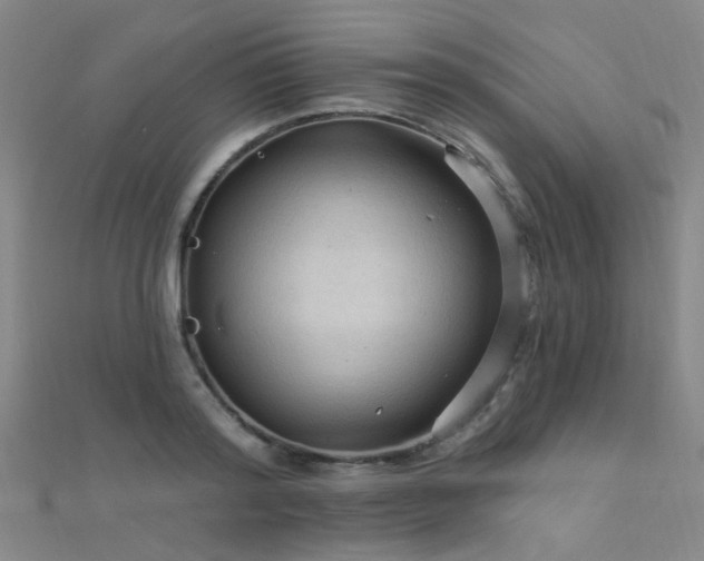 X0000112350796200908131427
