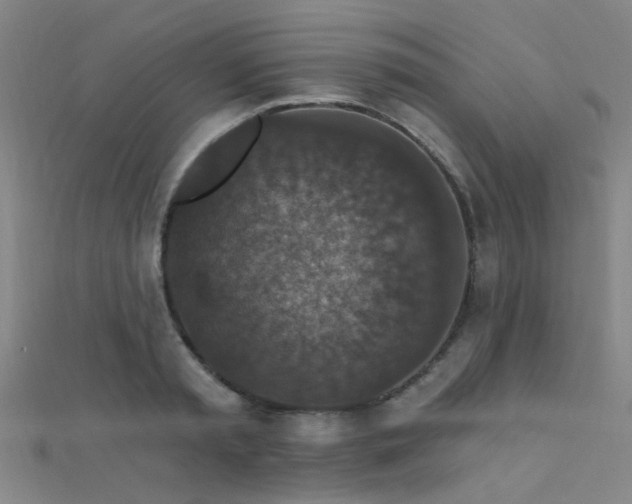 X0000112350797200908131427