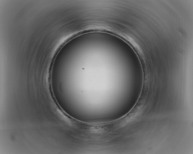 X0000112350799200908131427