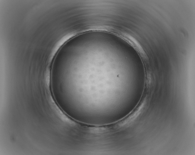 X0000112350804200908131427