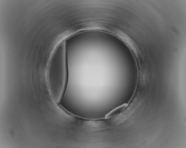 X0000112350805200908131427