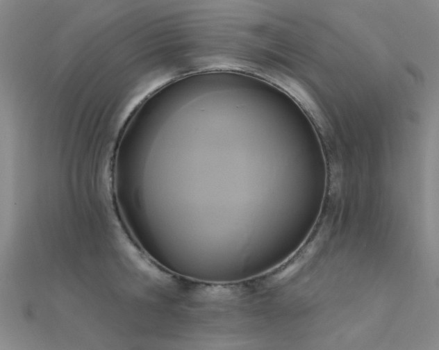 X0000112350806200908131427