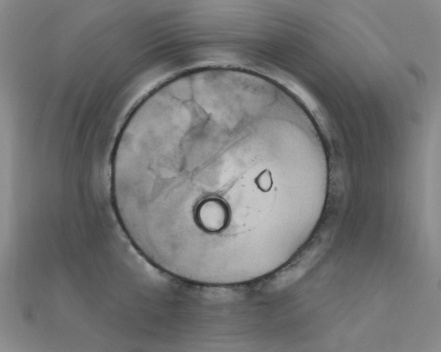 X0000112350807200908131427