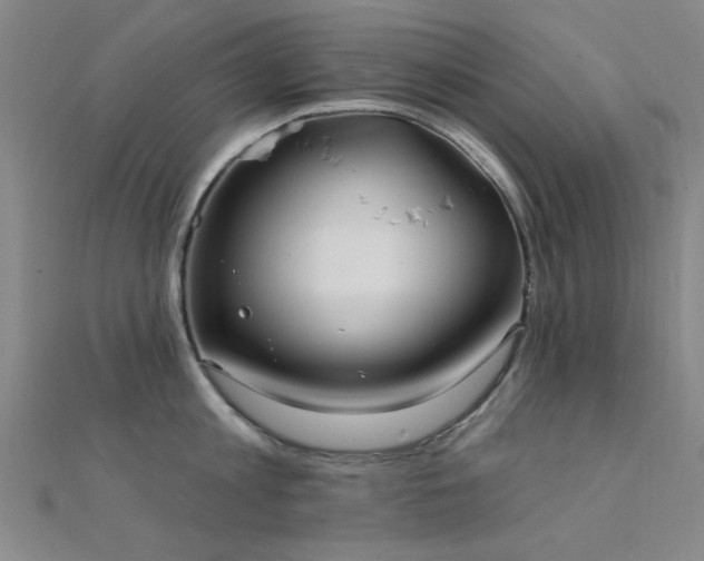 X0000112350813200908131427
