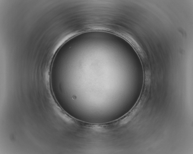X0000112350814200908131427