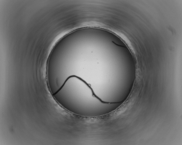 X0000112350815200908131427