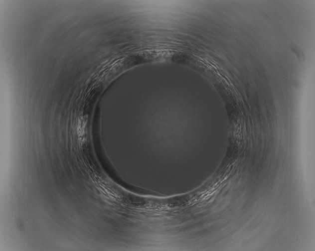 X0000112350818200908131426