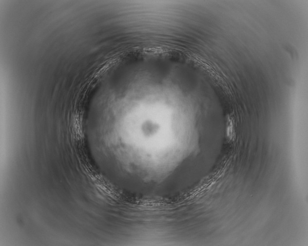 X0000112350819200908131426