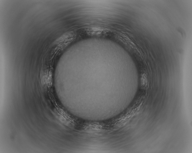 X0000112350820200908131426