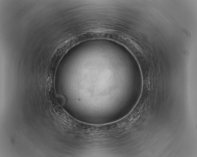 X0000112350821200908131426