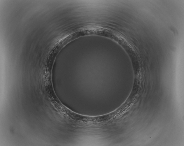 X0000112350822200908131426