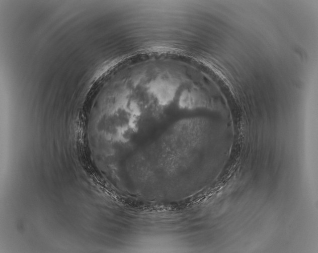 X0000112350823200908131426