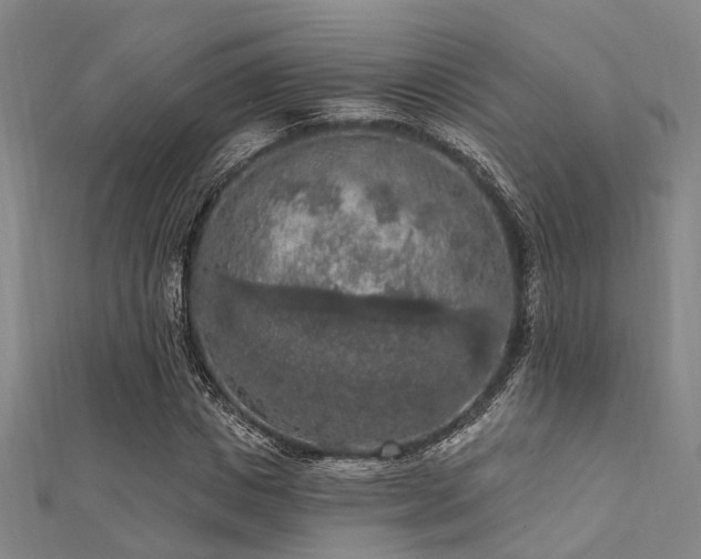X0000112350825200908131426