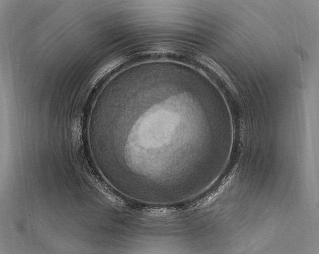 X0000112350826200908131426