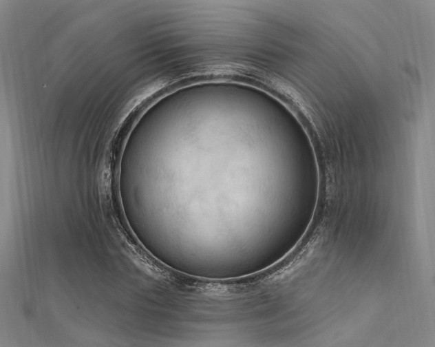 X0000112350827200908131426