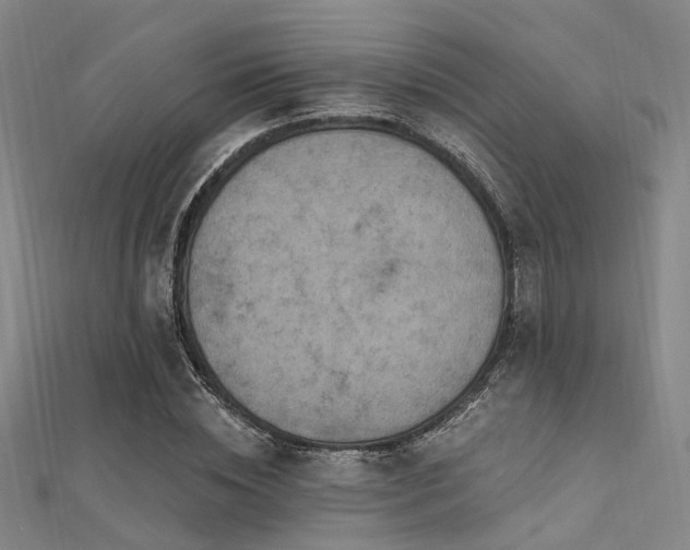X0000112350828200908131426