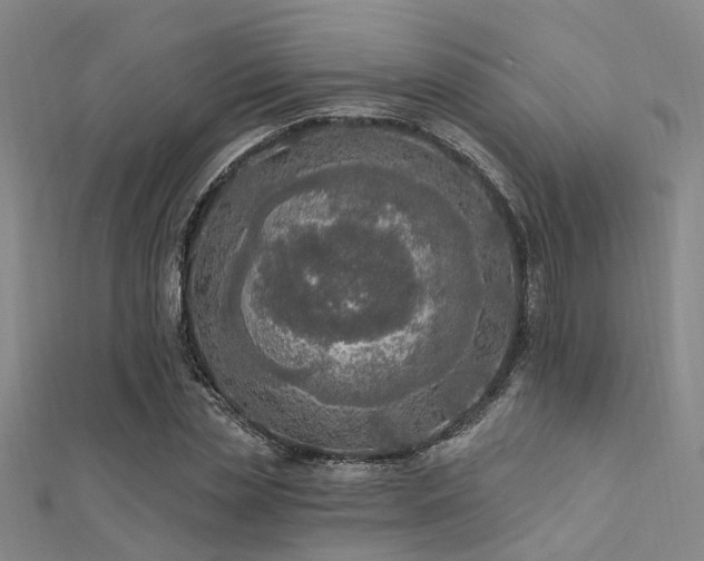 X0000112350829200908131426