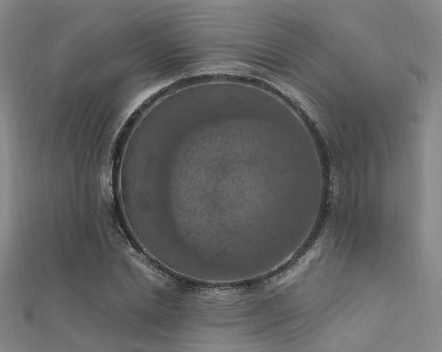 X0000112350830200908131426